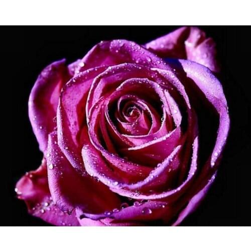 YIKEE Diamond Embroidery Flowers Rose Full Square DIY Diamond Painting Diamond Mosaic Rhinestones Home Decor y846