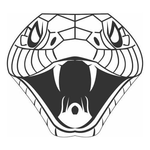Angry Snake Opens His Mouth To Reveal Sharp Teeth Car Decal For Car Body Window Door Mural Top Quality Detachable FA207