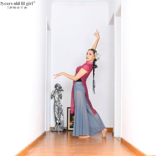 Belly Dance Suit Danse Classical Performance Clothes Bellydance Costume Gypsy Skirt CZZ04