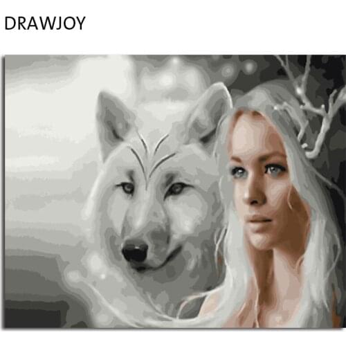 Картины-раскраски по номерам DRAWJOY China At AliExpress