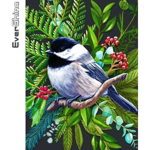 Evershine 5D DIY Diamond Embroidery Bird Mosaic Full Square Round Diamond Painting Kit Animals New Arrival Handmade Gifts