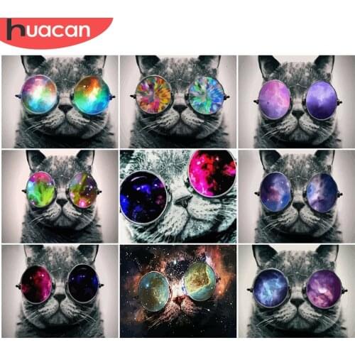 HUACAN DIY Pictures By Number Kits Animal Painting By Numbers Cat Glasses Drawing On Canvas Hand Painted Paintings Home Decor