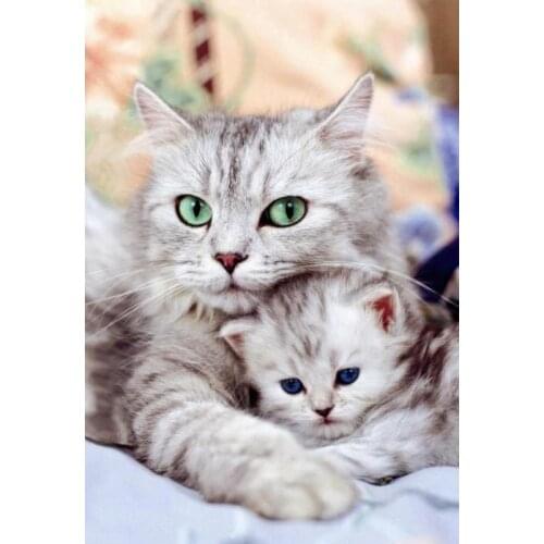 DIY 5d Diamond Painting Warm Sweet Mother Cat Embroidery Cross Stitch Square/round Diamond Plastic Canvas