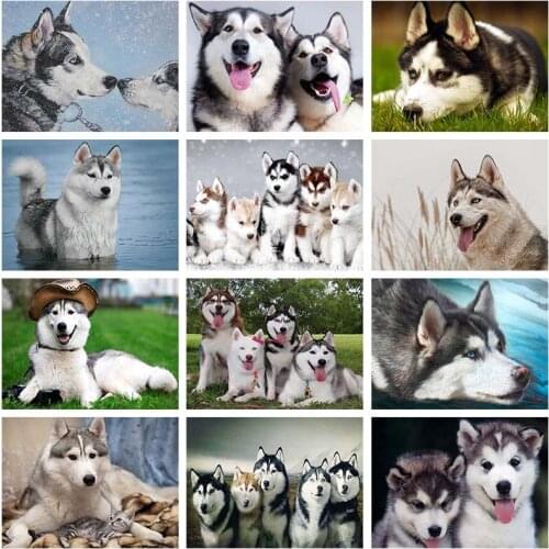 5D Diamond Dog Mysterious Funny Animal Husky DIY Diamond Painting Cross Stitch Embroidery Mosaic Artist Home Decoration Gift