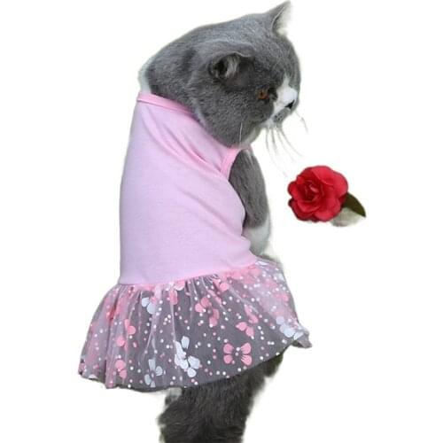 Dog Skirt Net Gauze Polyester Material Casual Style High-Quality Comfortable Health Safety Fabrics Fine Workmanship Summer New