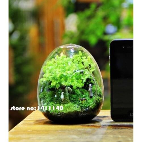 6pcs egg shape type Aquiculture Container Glass Vase Flower Plant Water Container Family Wedding Decoration