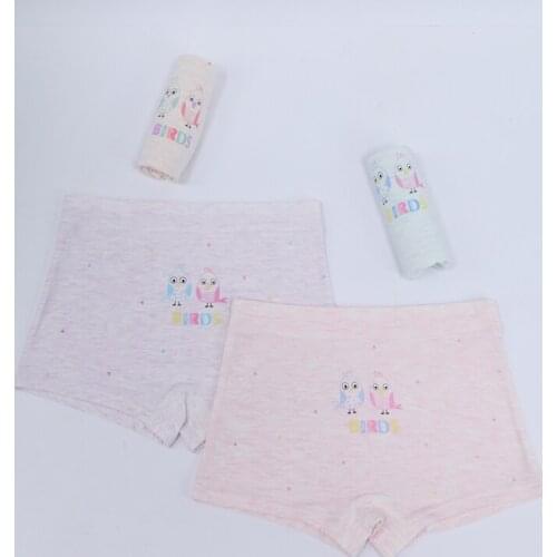 5 PCS New Childrens Modal underwear New cartoon girls boxer shorts Girls summer thin underwear