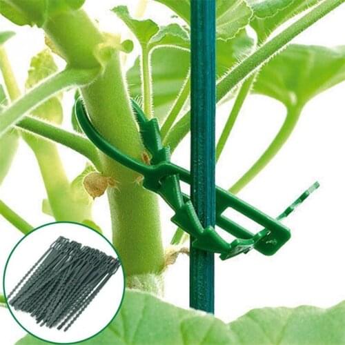 50Pcs Fish Bone Banding Garden Wrap Greenhouse Lianas Plant Pot Vines Tied Tool Plant Support Strapping Buckle Fixed Straps Clip