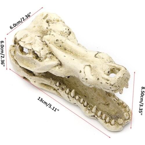 5" Crocodile Skull Artificial Decor Ornament Decoration for Aquarium Fish Tank HX6D