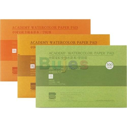 Baohong 100% Cotton Professional Oil Sticker Paper 20 Sheets Hand Painted Watercolor Book,Artist Student Sketch 16k 8k 4K 300g