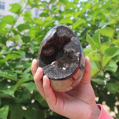1000g Natural curvature of the furnishing articles Turtle grain stone egg Ball Septarian nodule Fossil Crystal Healing quartz