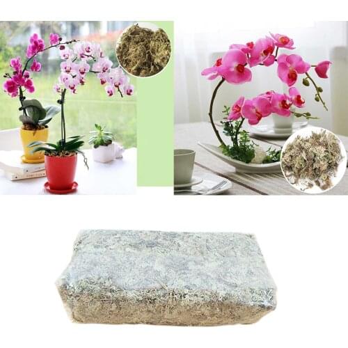 Water Moss Dry Moss Water Grass Substrates for Orchid Phalaenopsis 6L