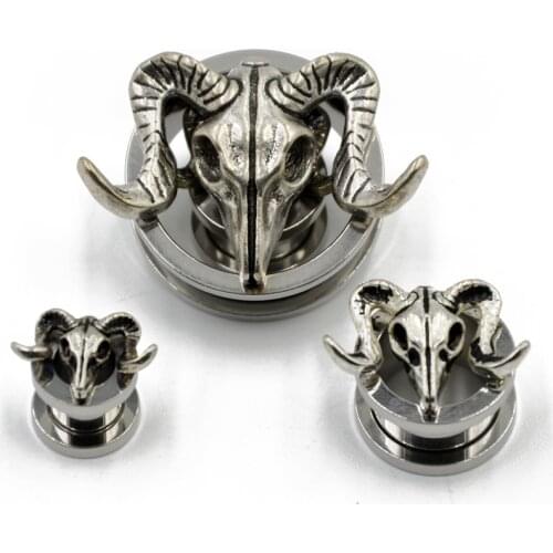 2 PCS Ear Piercing Ring Plug Tunnels Stainless Steel Studs Screw Body Piercing Jewelry Gauges Earrings For Gift