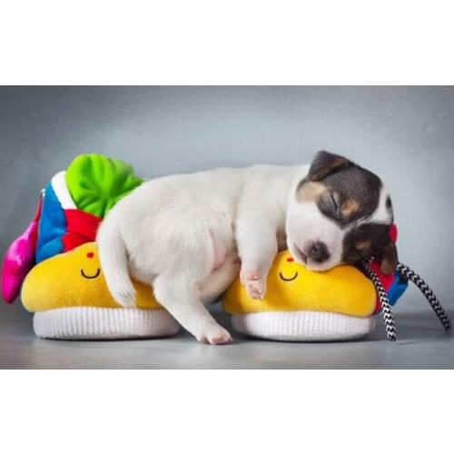 Diamond Mosaic Full Square/round Diamond Embroidery Puppy Diamond Cross Stitch Resin Square/round Diamond Sets Decor