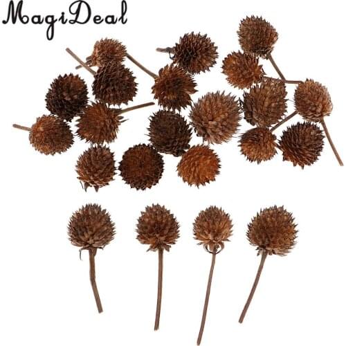 50pcs in Bulk Natural Dried Flowers Gomphrena globosa buds Handmade Candy Box Christmas Wedding Decoration Home Floral Ornaments