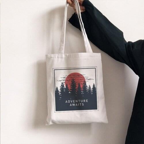 Chic Casual Ins Universe Vintage Summer New Sweet Women Harajuku Letter Cartoon Print Ulzzang Canvas Shoulder Bags