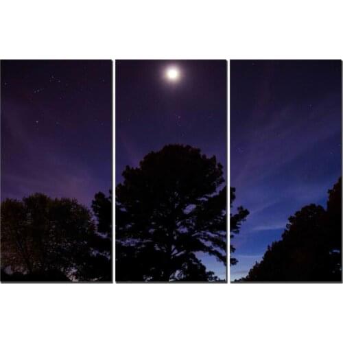 3 Panels Giclee Full Moon Canvas Prints Painting Photo to Pictures on Canvas Cuadros Picture for Home Decor Living Room Wall Art