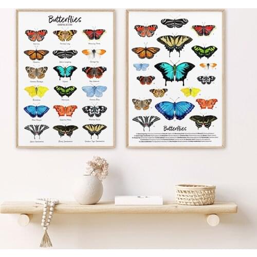 Butterfly Collection Print Animal Poster Colorful Wall Art Canvas Painting Wall Pictures for Living Room Classroom Home Decor