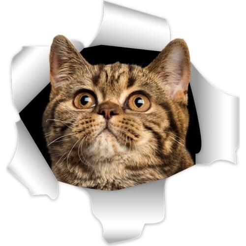 Three Ratels cat wall stickers for girls children wall sticker home decoration living room car sticker