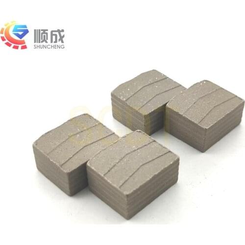 Shuncheng 24*12.5/11.5*20mm Granite Segment Diamond Tools For D2500mm D3000mm