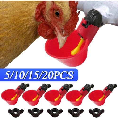 Chicken Nipple Water Cup Quail Hanging Drinking Bowl automatic Bird Water Drinker Cup for Backyard Chicken Flock Poultry Waterer