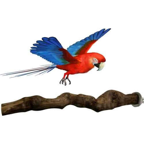 Pet Parrot Wood Fork Stand Rack Bird Perch Stand Training Playstand Bird Cage Toys