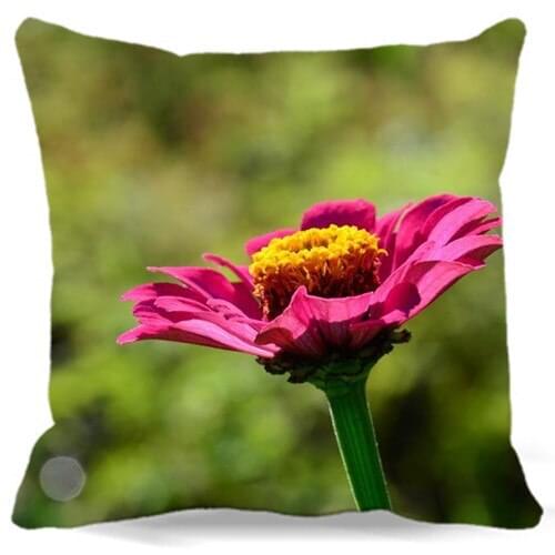 Red pink Chrysanthemum 2d print cotton polyester sofa cushions cover home decoration throw pillows cover chair pillow case 18x18