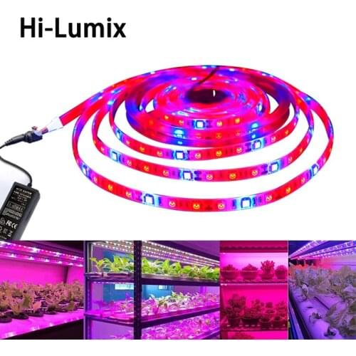 LED Strips Hi-Lumix China