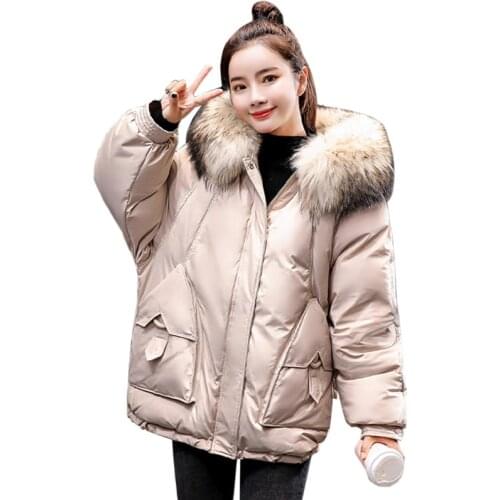 Hooded Parkas Female 2019 Autumn And Winter new Casual Loose Outwear Womens fashion short Cotton Coats Women