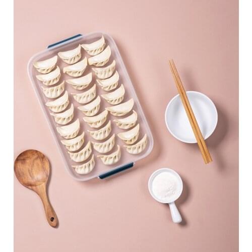 Household Portable Dumpling Box with Lid Refrigerator Stackable Fresh-keeping Storage Boxs Plastic Food Fruit Trays for Office