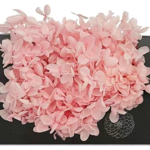 20g/lot,Grade A Preserved Hydrangea,Nature Fresh Flower Head DIY gift box,Real Eternal rose for Wedding bride to be Headwear