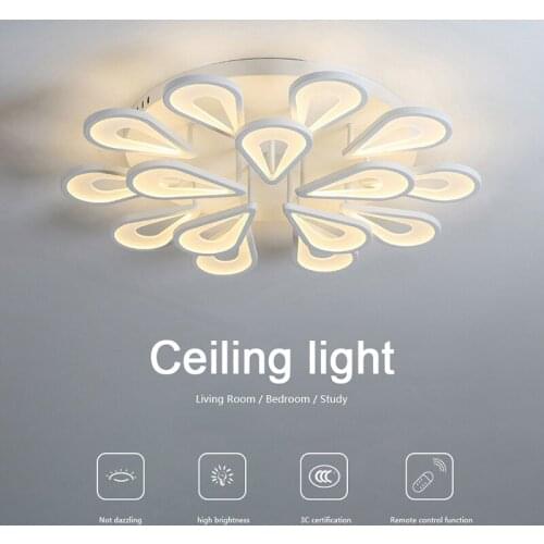 Modern Bedroom Lights Warm and Romantic Room Ceiling Light LED Living Room Lights Remote Control Function Light