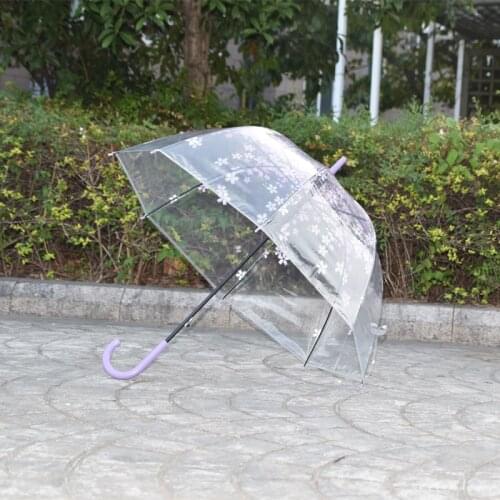 New Fashion Cherry Blossom Mushroom Apollo Princess Women Rain Sakura Long Handle Umbrellas Transparent Clear Umbrella 30PCS