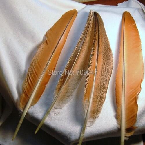 20pcs/lot!30-35cm long Mottled Brown Peacock Flight Quill Feathers - Cruelty Free - Humane,freeshipping