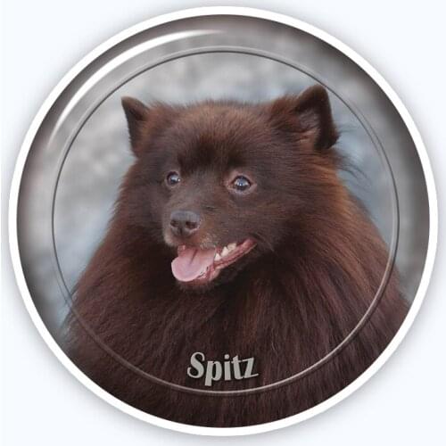 A0685# Various Sizes Removable Decal Spitz-2 88 Sticker Waterproof Accessories on Bumper Rear Window Laptop