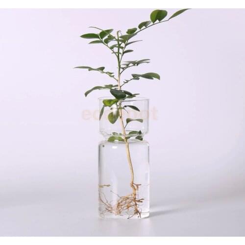 Transparent Hyacinth Glass Vase Flower Planter Pot DIY Terrarium Container Decor