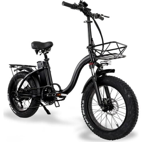 Folding Electric Bike 750w ebike 48v 15ah Bicycle Electric Fat Tyre Foldable Bike for Man or Women