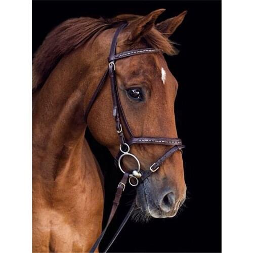 Animal Horse DIY 11CT Embroidery Cross Stitch Kits Needlework Craft Set Cotton Thread Printed Canvas Home Decoration Room