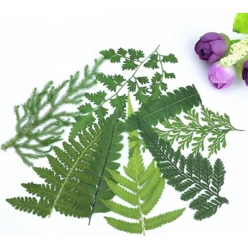 120pcs Natural Pressed Dried Mixed Leaves Plants Herbarium For Jewelry Postcard Bookmark Phone Case Invitation Card DIY