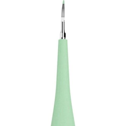 Electric Dental Scaler Head Tooth Cleaner Head Home Dental Calculus Remover Head Tooth Protector Device