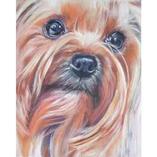 Yumeart Diamond Art Shih Tzu Dog Cute Dog 5D Diamond Painting Dolphin Animal Cross Stitch Diamond Embroidery Painting Home Decor