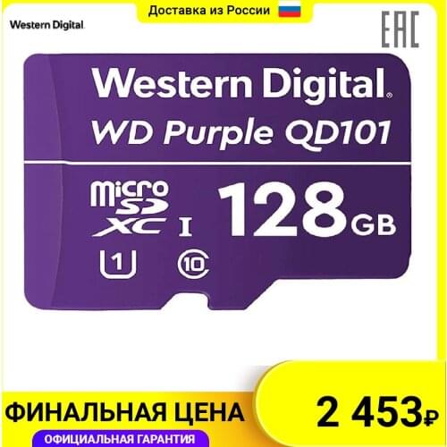 WESTERN DIGITAL Memory Cards