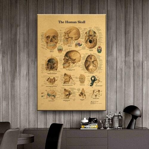 The human head bone Structural anatomy Vintage poster Wall sticker print painting home decor canvas painting wall art