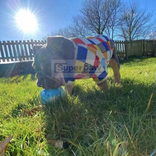 Spring Pet Dog Sweatshirt Clothes Puppy Winter Warm Coat Jacket Sweater For Small Medium Dogs Pug Schnauzer Chihuahua LXC28