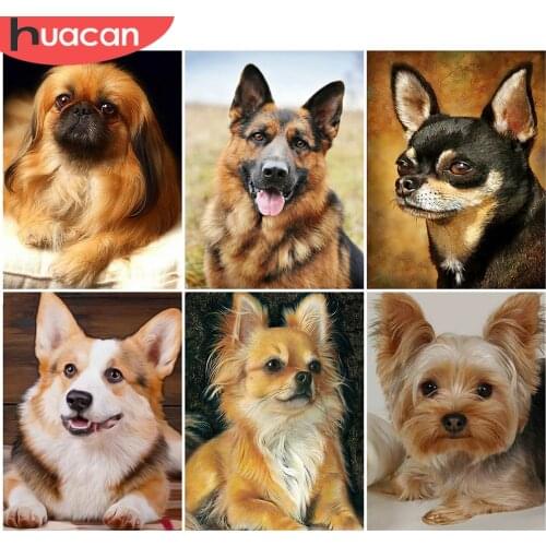 HUACAN Diamond Painting Dog Full Square Round Drill Rhinestone Kit 5D Diamond Embroidery Animla Diamond Mosaic Decor For Home
