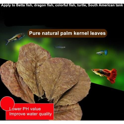 Natural olive leaf aquarium decoration fish tank cleaning tool water treatment aquarium accessories