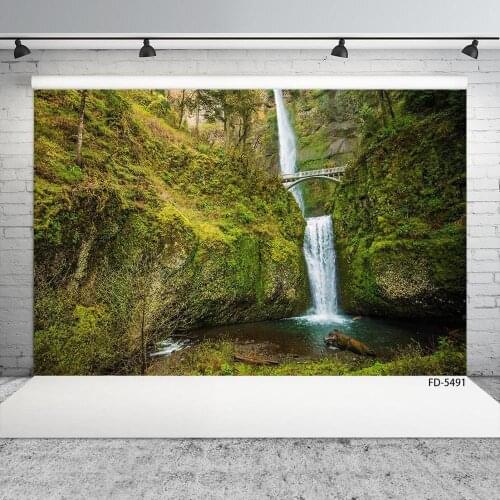 Valley Waterfall Bridge Lake Photography Backdrop Customized Scenic Background for Baby Children Portrait Photocall Fond Photo