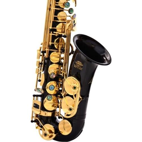 Eb Falling Tune E Saxophone Musical Instrument E-flat Alto Brass Saxophone Pearl Black Carving Craft Beginner Exam Professional
