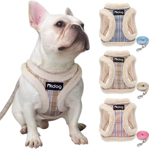 Winter Small Dog Harness Vest and Leash Set Cotton Comfortable Soft Puppy Dog Harness and Leads Cat Pet Harness for Small Dogs