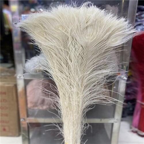 The New Listing 50pcs/lot Natural Beige Peacock Feathers 70-80cm Craft Christmas Celebration Carnival for DIY Decoration Plume